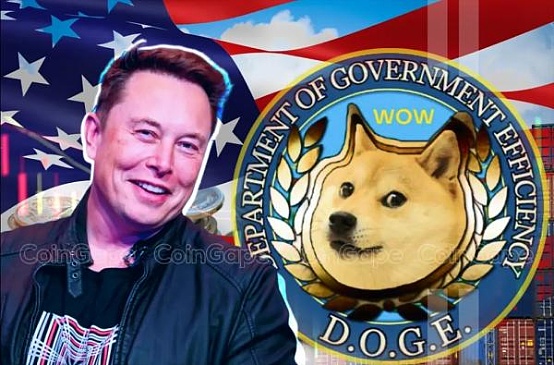 DOGE行動(dòng)：馬斯克如何用一支非官方團(tuán)隊(duì)撬動(dòng)白宮圖片